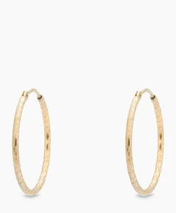 Sieraden^Anna+nina Oorbellen Hammered Plain Hoop Earrings Xl Silver G Goud