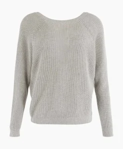 Truien^Anna Van Toor Pullover 21A09-02818B Licht Grijs