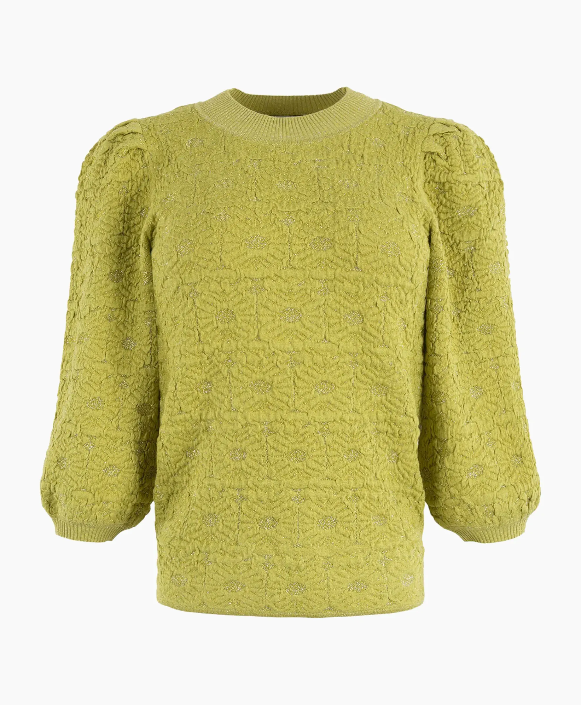 Truien^Anna Van Toor Pullover 34A09-02850 Groen