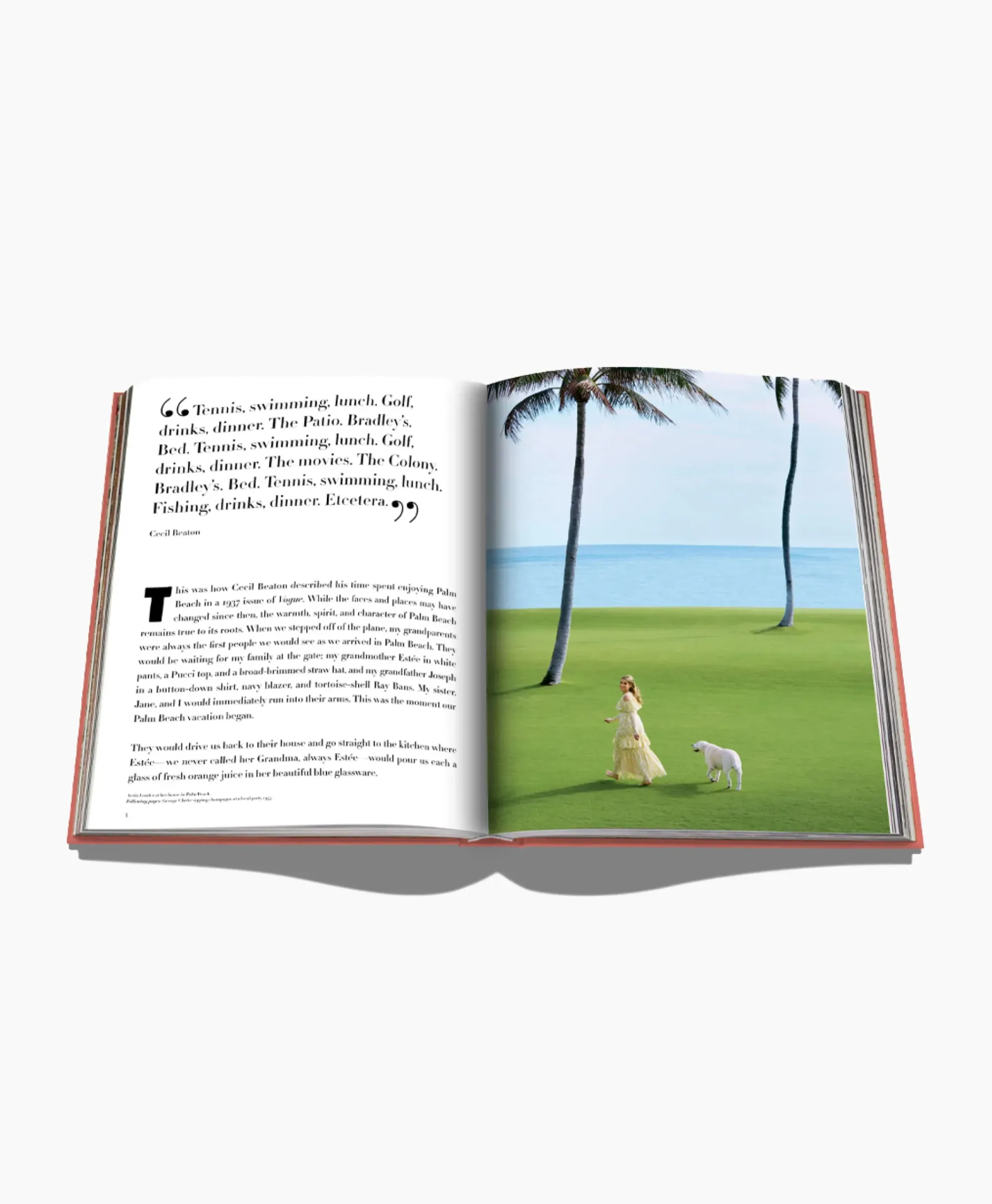 Lifestyle^Assouline Boek Palm Beach Diversen
