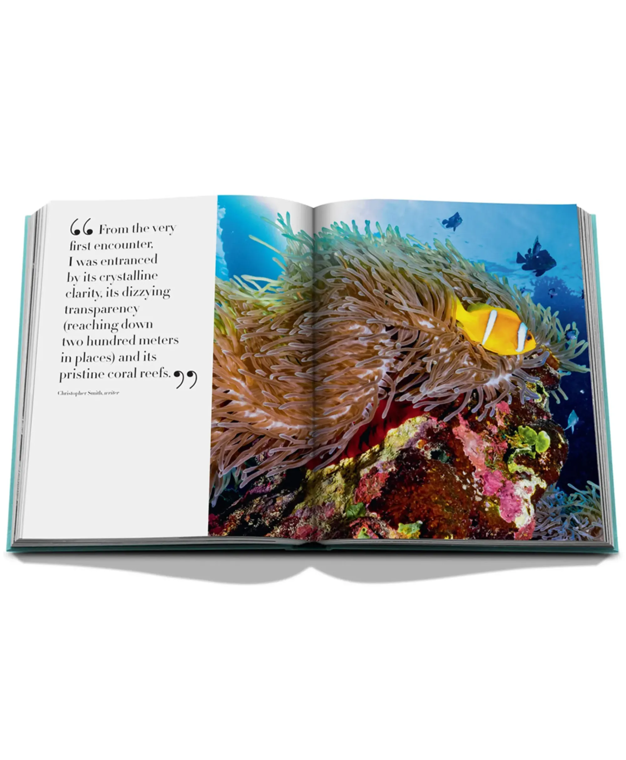 Lifestyle^Assouline Boek Saudi Arabia: Red Sea Diversen