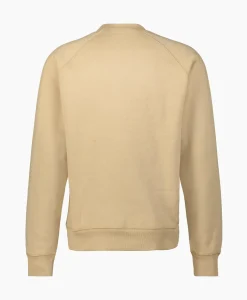 Truien^Carhartt Wip Sweater Chase Beige