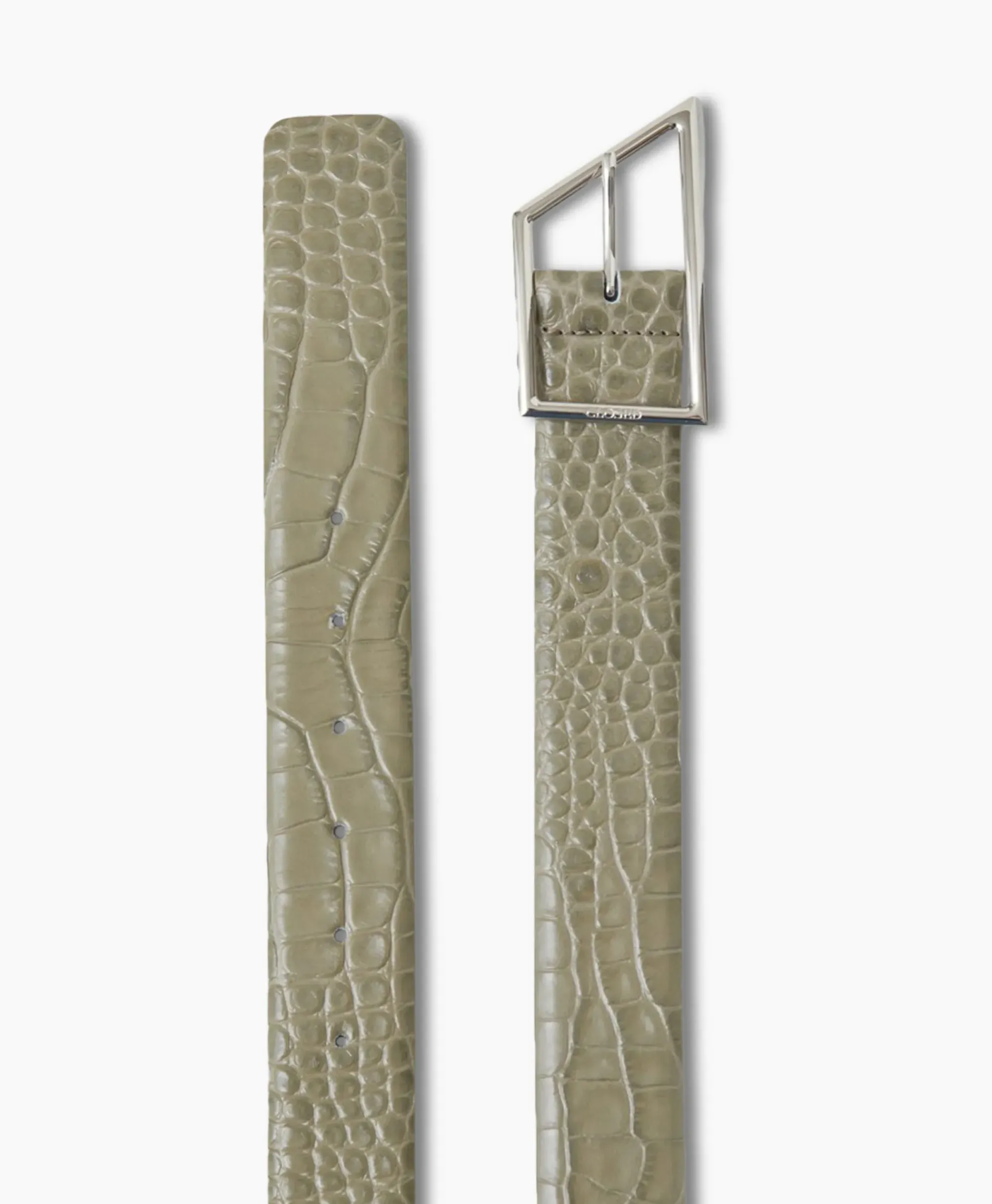 Riemen^Closed Riem Belt Groen
