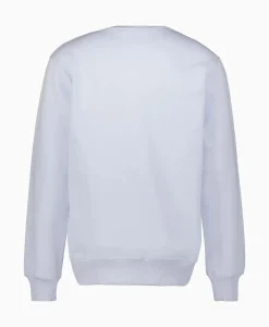 Truien^Daily Paper Sweater United Licht Blauw