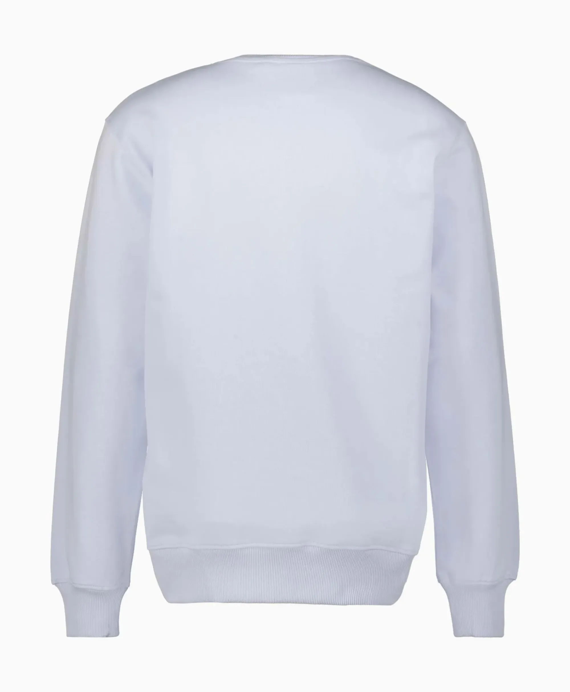 Truien^Daily Paper Sweater United Licht Blauw