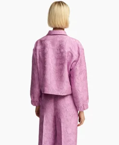 Jassen^Essentiel Antwerp Jack Fubious Rose