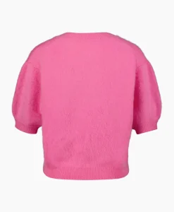 Truien^Lisa Yang Pullover Juniper Roze