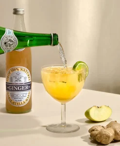Lifestyle^Marie-stella-maris Siroop Ginger Diversen