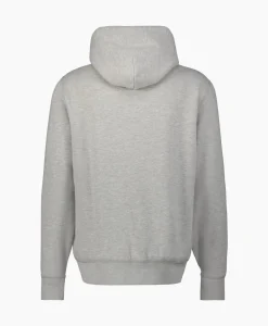 Truien^Ralph Lauren Hoodie Long Sleeve-Knit Licht Grijs
