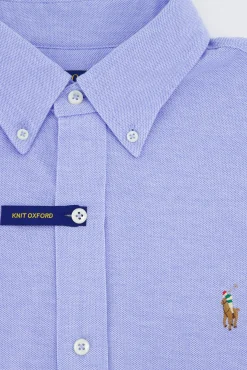 Overhemden^Ralph Lauren Overhemd Oxford Mesh Licht Blauw